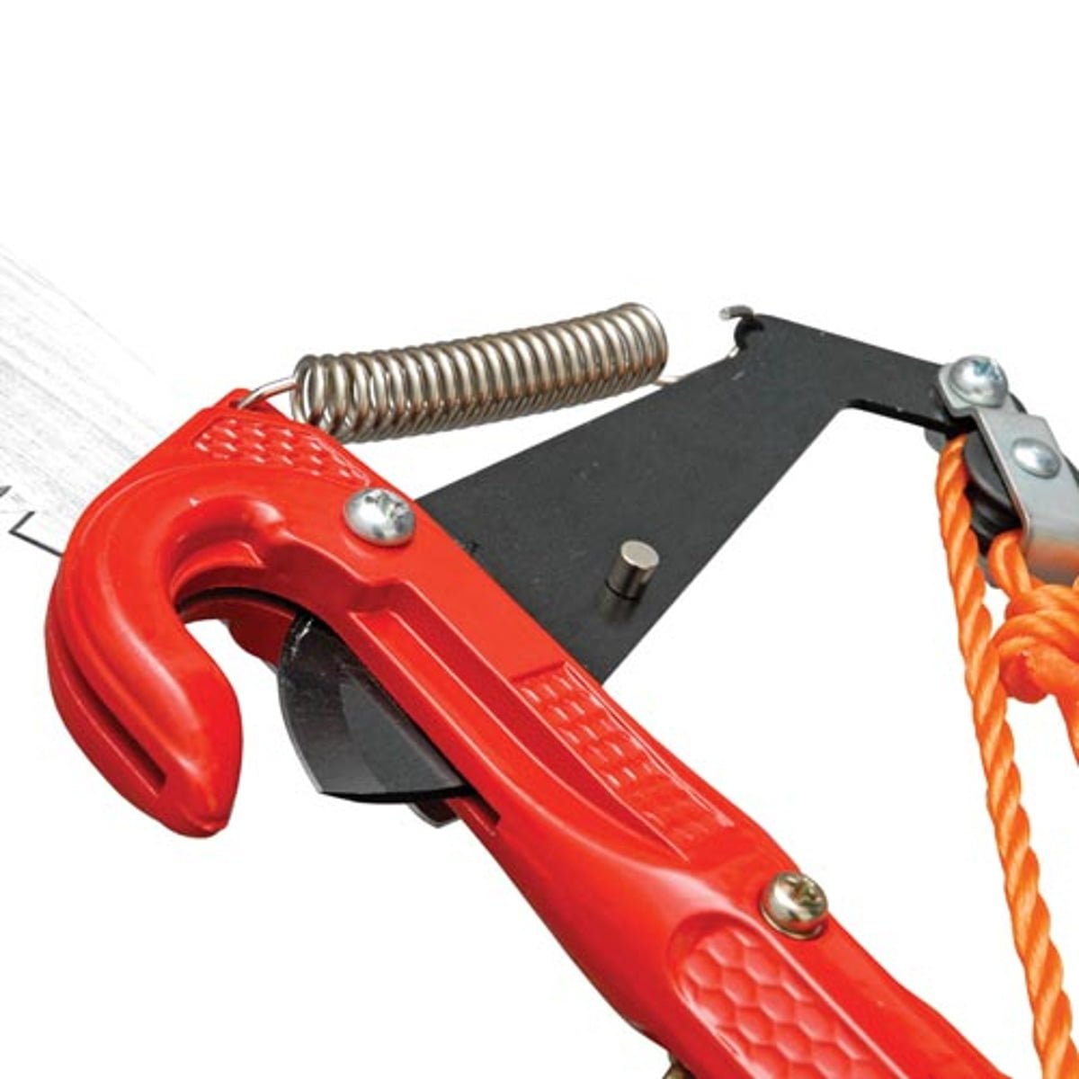 Nokota 3.2m Telescopic Saw & Lopper Pruning Polesaw - Image 2