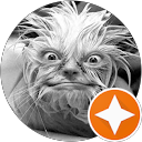 Bob Atkins profile picture